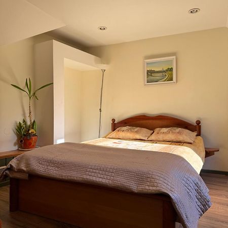 Danarent Tilto Apartment Vilnius Ngoại thất bức ảnh